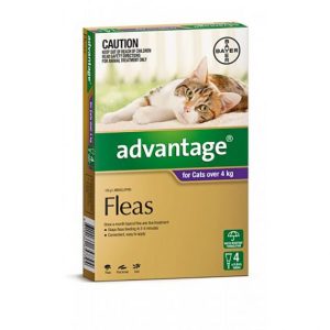 ADVANTAGE  CAT 4KG PLUS LARGE 4'S PURPLE