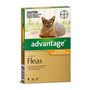 ADVANTAGE CAT 0-4KG SMALL 1'S ORANGE