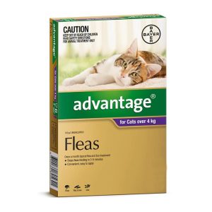 ADVANTAGE  CAT 4KG PLUS LARGE 6'S PURPLE