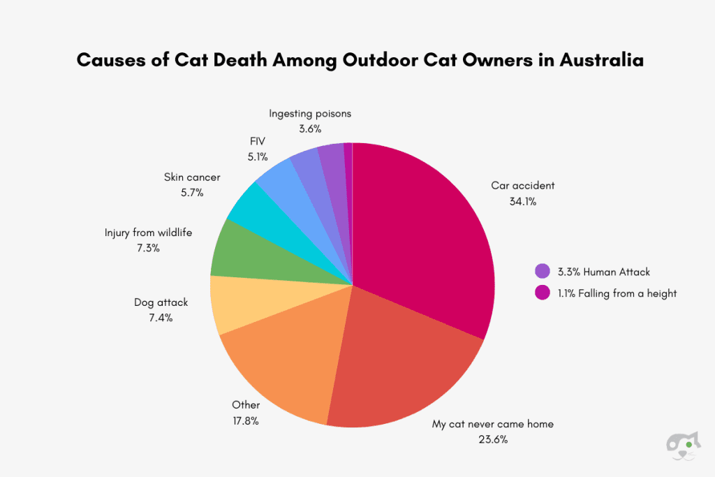 Causes of Cat Death Among Outdoor Cat Owners in Australia