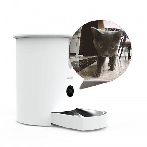 Embrace Automation: Simplify Your Cat Care Routine 3 PetWantF3 Camera2
