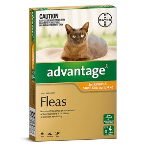 ADVANTAGE CAT 0-4KG SMALL 4'S ORANGE