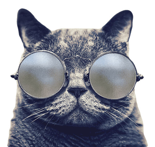 cat glasses updated
