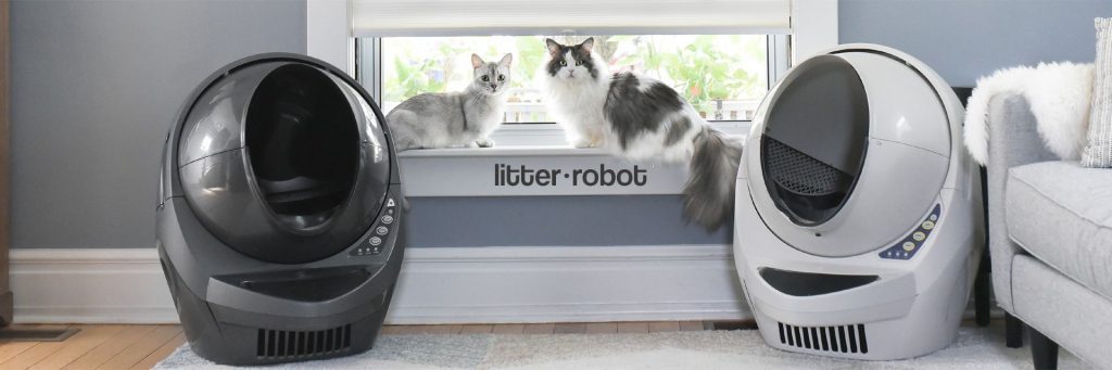 Embrace Automation: Simplify Your Cat Care Routine