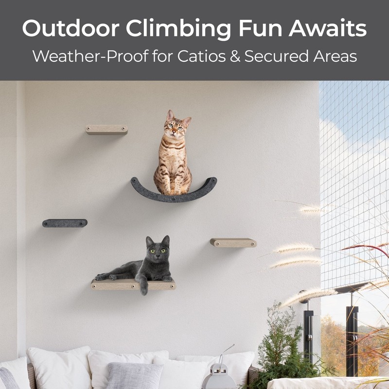 Pryde Pets Cat Climber - Curved Shelf 12 Cat Climber - Curved Shelf in Charcoal - Pryde Pets wall-mounted cat furniture