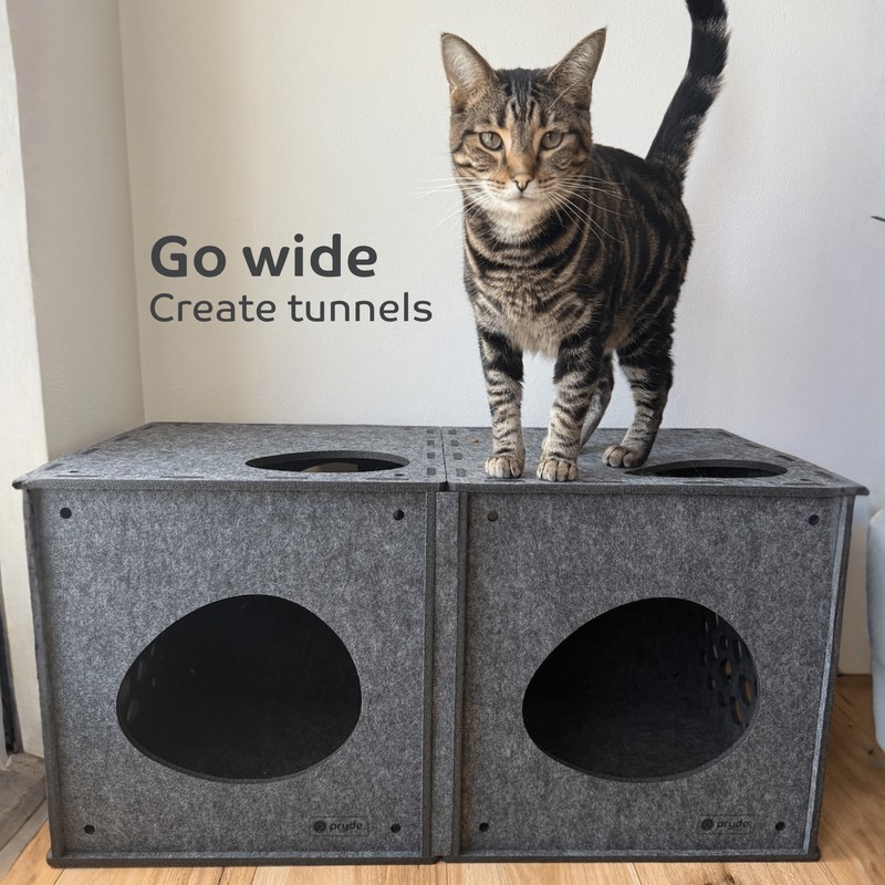 Pryde Pets Modular Cat Cube 10 Modular Cat Cube in Charcoal - Pryde Pets wall-mounted cat furniture